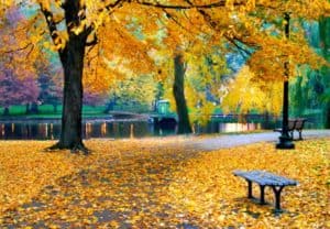 Boston Public Garden in autumn